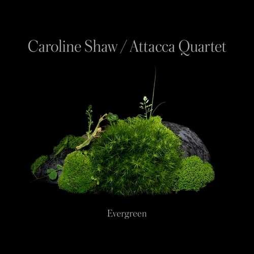 Caroline Shaw - Caroline Shaw: Evergreen