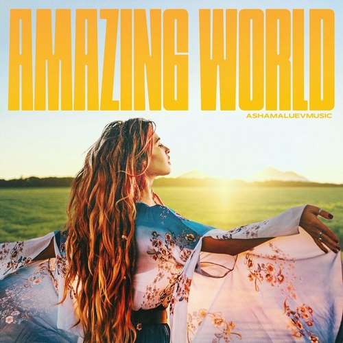AShamaluevMusic - Amazing World