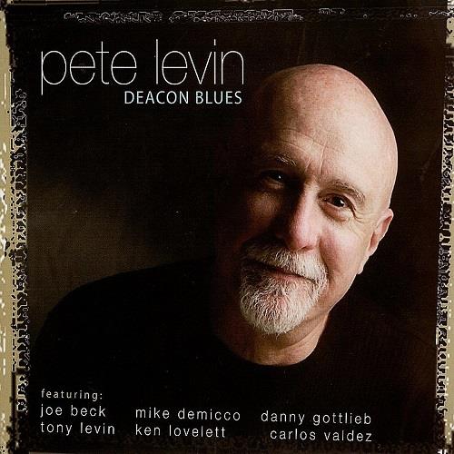 Pete Levin - Deacon Blues