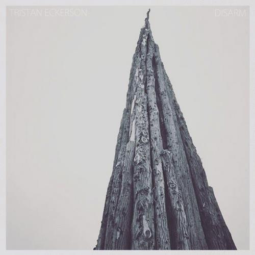 Tristan Eckerson - Disarm