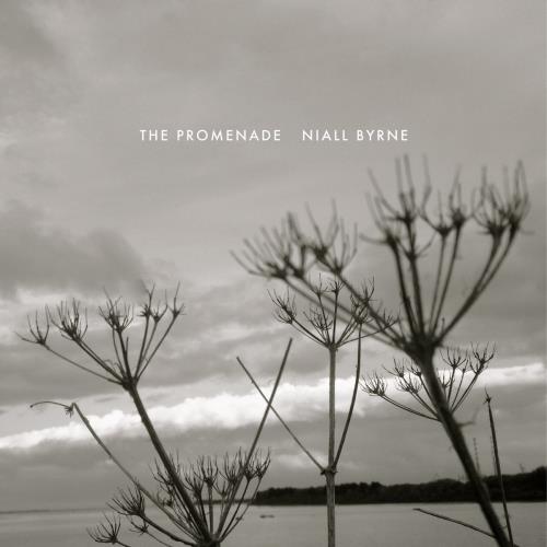Niall Byrne - The Promenade