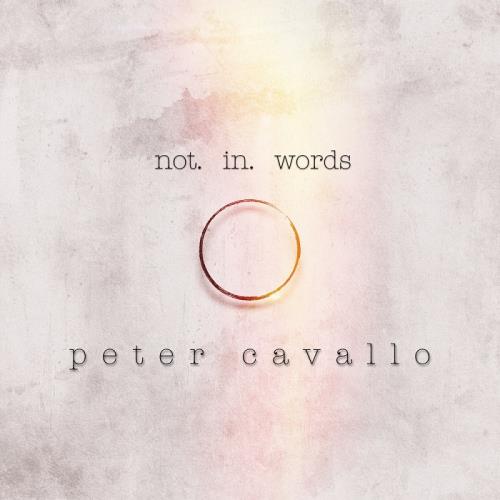Peter Cavallo - Not in Words