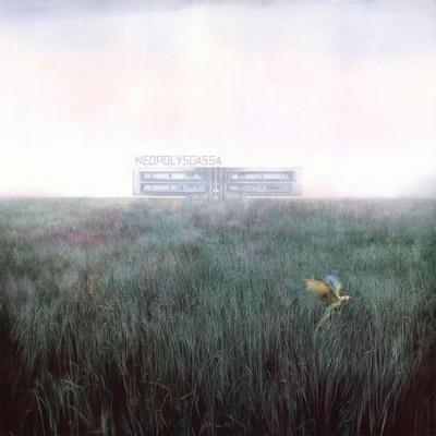Misha Mishenko - Neopolyscassa