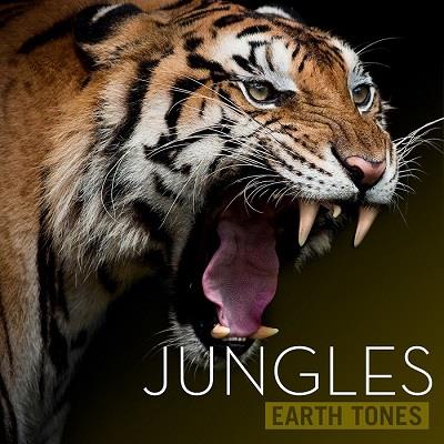 Earth Tones - Jungles