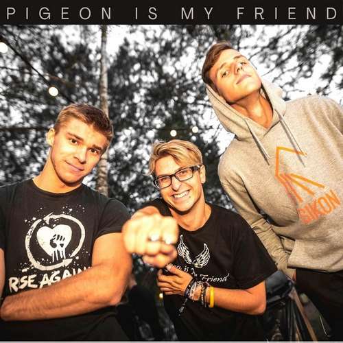 Pigeon Is My Friend - Pigeon Is My Friend Discography
