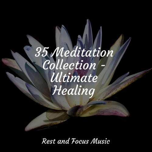 Tranquility Spa Universe - 35 Meditation Collection - Ultimate Healing