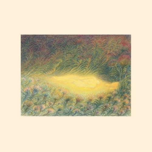 Sofie Birch - Languoria