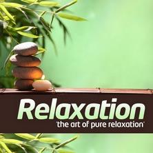 دانلود آلبوم موسیقی Various-Artists-Relaxation-The-Art-of-Pure-Relaxation