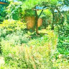 دانلود آلبوم موسیقی Mydreamfever-Rough-and-Beautiful-Place
