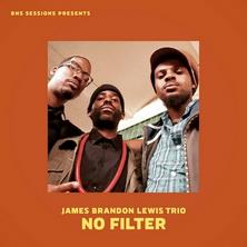 دانلود آلبوم موسیقی James-Brandon-Lewis-Trio-No-Filter