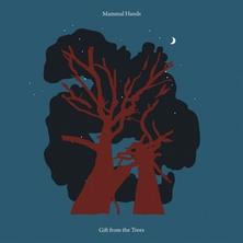دانلود آلبوم موسیقی Mammal-Hands-Gift-From-the-Trees
