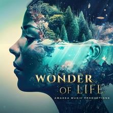دانلود آلبوم موسیقی Amadea-Music-Productions-Wonder-of-Life