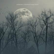 دانلود آلبوم موسیقی Andromea-Resonant-Sleep-Waves