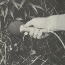 دانلود آلبوم موسیقی Eric-Mayer-VESTiGE