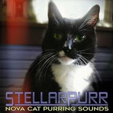 دانلود آلبوم موسیقی Nova-Cat-Purring-Sounds-StellarPurr