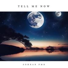 دانلود آلبوم موسیقی Sohrab-PMR-Tell-Me-Now-Single