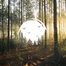 دانلود آلبوم موسیقی VA-Echoes-in-the-Valley-Vol-01