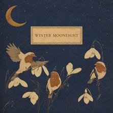 دانلود آلبوم موسیقی Evgeny-Grinko-Winter-Moonlight
