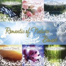 دانلود آلبوم موسیقی romantic-of-nature-vol-1-6