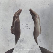 دانلود آلبوم موسیقی shahead-mostafafar-between-the-silence