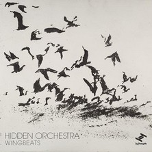 دانلود آلبوم موسیقی Hidden-Orchestra-Wingbeats