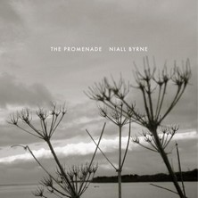 دانلود آلبوم موسیقی Niall-Byrne-The-Promenade