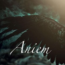 دانلود آلبوم موسیقی paul-sills-aniem