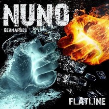 دانلود آلبوم موسیقی nuno-bernardes-vilabril-flatline