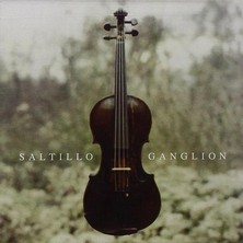 دانلود آلبوم موسیقی Saltillo-Ganglion