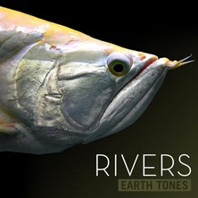 دانلود آلبوم موسیقی earth-tones-rivers