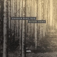 دانلود آلبوم موسیقی oddgeir-berg-trio-before-dawn