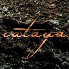دانلود آلبوم موسیقی cataya-sukzession