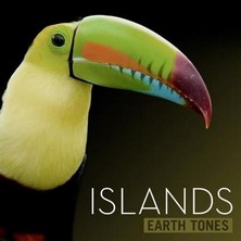 دانلود آلبوم موسیقی earth-tones-islands