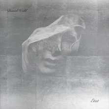 دانلود آلبوم موسیقی daniel-wohl-etat