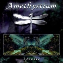 دانلود آلبوم موسیقی amethystium-odonata