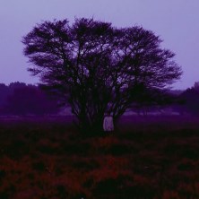 دانلود آلبوم موسیقی Cedric-Vermue-Ember-EP