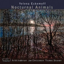 دانلود آلبوم موسیقی Yelena-Eckemoff-Nocturnal-Animals