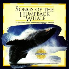 دانلود آلبوم موسیقی Roger-Payne-Songs-of-the-Humpback-Whale