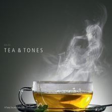دانلود آلبوم موسیقی VA-A-Tasty-Sound-Collection-Tea-Tones
