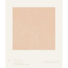 دانلود آلبوم موسیقی Haruka-Nakamura-Still-Life-II