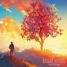 دانلود آلبوم موسیقی Peder-B-Helland-Bright-Future