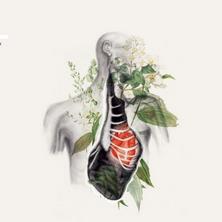دانلود آلبوم موسیقی Andrey-Kiritchenko-Overt