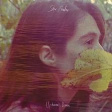 دانلود آلبوم موسیقی Slow-Meadow-Upstream-Dream