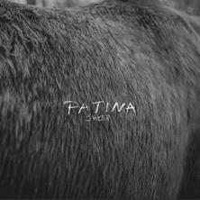 دانلود آلبوم موسیقی Swer-Patina