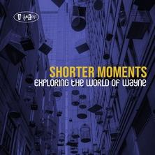 دانلود آلبوم موسیقی Various-Artists-Shorter-Moments-Exploring-the-World-of-Wayne