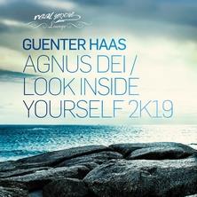 دانلود آلبوم موسیقی Guenter-Haas-Agnus-Dei-Look-Inside-Yourself-2K19