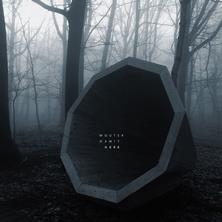 دانلود آلبوم موسیقی Wouter-Dewit-Here