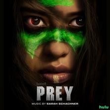 دانلود آلبوم موسیقی Sarah-Schachner-Prey