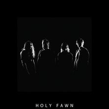 دانلود آلبوم موسیقی Holy-Fawn-Discography