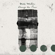 دانلود آلبوم موسیقی Wide-Waters-Among-the-Pines